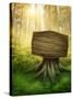 Wooden Sign in the Magic Dark Forest-egal-Stretched Canvas