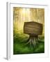 Wooden Sign in the Magic Dark Forest-egal-Framed Photographic Print