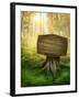 Wooden Sign in the Magic Dark Forest-egal-Framed Photographic Print