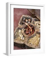 Wooden Spice Box from South India-Jürg Waldmeier-Framed Photographic Print
