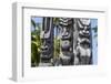 Wooden Statues in the Puuhonua O Honaunau National Historical Park-Michael Runkel-Framed Photographic Print