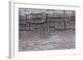 Wooden Texture Background-Piyaphat-Framed Photographic Print