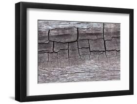 Wooden Texture Background-Piyaphat-Framed Photographic Print