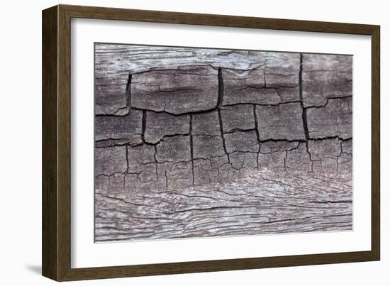 Wooden Texture Background-Piyaphat-Framed Photographic Print