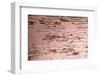 Wooden Texture Background-Piyaphat-Framed Photographic Print