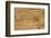 Wooden Texture, Brown Old Wood Background-inarik-Framed Photographic Print