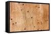 Wooden Texture-Boyan Dimitrov-Framed Stretched Canvas