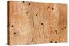 Wooden Texture-Boyan Dimitrov-Stretched Canvas
