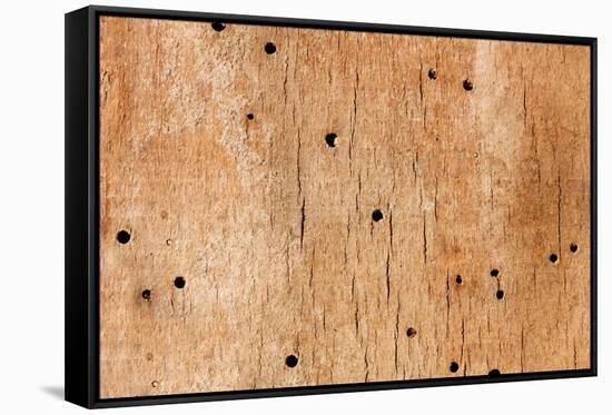 Wooden Texture-Boyan Dimitrov-Framed Stretched Canvas