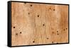 Wooden Texture-Boyan Dimitrov-Framed Stretched Canvas