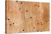 Wooden Texture-Boyan Dimitrov-Stretched Canvas