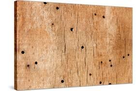 Wooden Texture-Boyan Dimitrov-Stretched Canvas