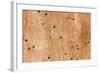 Wooden Texture-Boyan Dimitrov-Framed Photographic Print