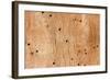 Wooden Texture-Boyan Dimitrov-Framed Photographic Print