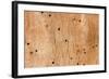 Wooden Texture-Boyan Dimitrov-Framed Photographic Print