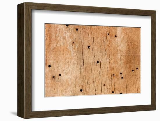 Wooden Texture-Boyan Dimitrov-Framed Photographic Print