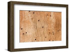 Wooden Texture-Boyan Dimitrov-Framed Photographic Print