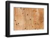 Wooden Texture-Boyan Dimitrov-Framed Photographic Print