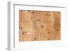 Wooden Texture-Boyan Dimitrov-Framed Photographic Print