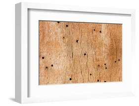 Wooden Texture-Boyan Dimitrov-Framed Photographic Print