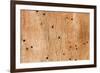 Wooden Texture-Boyan Dimitrov-Framed Photographic Print