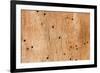 Wooden Texture-Boyan Dimitrov-Framed Photographic Print