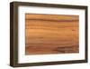 Wooden Texture-3PPhoto-Framed Photographic Print
