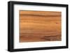 Wooden Texture-3PPhoto-Framed Photographic Print