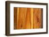 Wooden Texture-visitor66-Framed Photographic Print