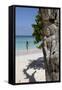 Wooden Tree Sculpture, Long Bay, Antigua, Leeward Islands, West Indies, Caribbean, Central America-Robert Harding-Framed Stretched Canvas