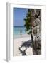 Wooden Tree Sculpture, Long Bay, Antigua, Leeward Islands, West Indies, Caribbean, Central America-Robert Harding-Framed Photographic Print