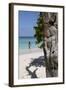 Wooden Tree Sculpture, Long Bay, Antigua, Leeward Islands, West Indies, Caribbean, Central America-Robert Harding-Framed Photographic Print