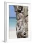 Wooden Tree Sculpture, Long Bay, Antigua, Leeward Islands, West Indies, Caribbean, Central America-Robert Harding-Framed Photographic Print