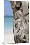 Wooden Tree Sculpture, Long Bay, Antigua, Leeward Islands, West Indies, Caribbean, Central America-Robert Harding-Mounted Photographic Print