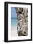 Wooden Tree Sculpture, Long Bay, Antigua, Leeward Islands, West Indies, Caribbean, Central America-Robert Harding-Framed Photographic Print