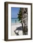 Wooden Tree Sculpture, Long Bay, Antigua, Leeward Islands, West Indies, Caribbean, Central America-Robert Harding-Framed Photographic Print