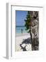 Wooden Tree Sculpture, Long Bay, Antigua, Leeward Islands, West Indies, Caribbean, Central America-Robert Harding-Framed Photographic Print