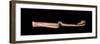 Wooden unguent or incense spoon, Ancient Egyptian, 18th dynasty, c1419-1386 BC-Werner Forman-Framed Photographic Print