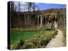 Wooden Walkway (Boardwalk) and Waterfalls in Plitvice Lakes National Park-Simon Montgomery-Stretched Canvas