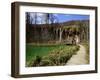 Wooden Walkway (Boardwalk) and Waterfalls in Plitvice Lakes National Park-Simon Montgomery-Framed Photographic Print