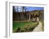 Wooden Walkway (Boardwalk) and Waterfalls in Plitvice Lakes National Park-Simon Montgomery-Framed Photographic Print