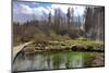 Wooden Walkway (Boardwalk) and Waterfalls in Plitvice Lakes National Park-Simon Montgomery-Mounted Photographic Print