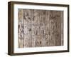 Wooden Wall, Names, Initials, Incised-Thonig-Framed Photographic Print