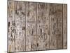 Wooden Wall, Names, Initials, Incised-Thonig-Mounted Photographic Print