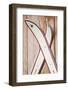 Wooden Wall, Skis-Rainer Mirau-Framed Photographic Print