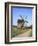 Wooden Windmill, Pirogovo, Near Kiev, Ukraine-Ivan Vdovin-Framed Photographic Print