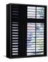 Wooden Window Shutters-null-Framed Stretched Canvas