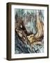 Wooden-Design Fabrikken-Framed Photographic Print