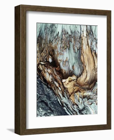 Wooden-Design Fabrikken-Framed Photographic Print