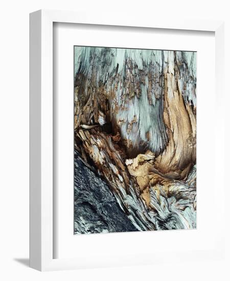 Wooden-Design Fabrikken-Framed Photographic Print